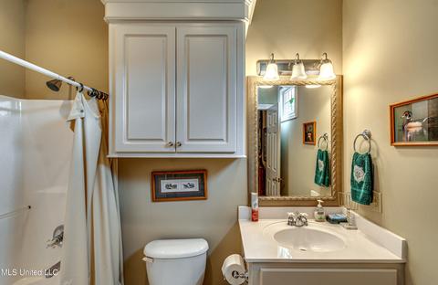 402 Belle Pointe Ln, Madison, MS 39110 photo 67