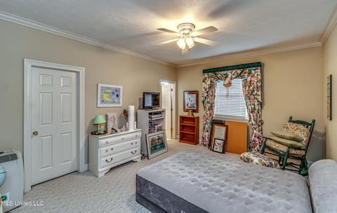 402 Belle Pointe Ln, Madison, MS 39110 photo 64