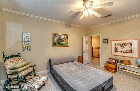 402 Belle Pointe Ln, Madison, MS 39110 photo 66