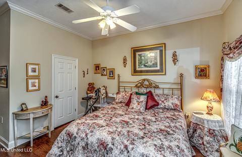 402 Belle Pointe Ln, Madison, MS 39110 photo 53