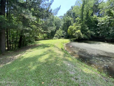 1780 Highway 471, Brandon, MS 39047 photo 7