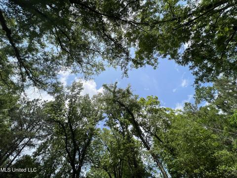 1780 Highway 471, Brandon, MS 39047 photo 8