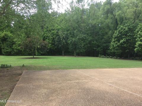2305 Appleton Dr, Southaven, MS 38672 photo 4