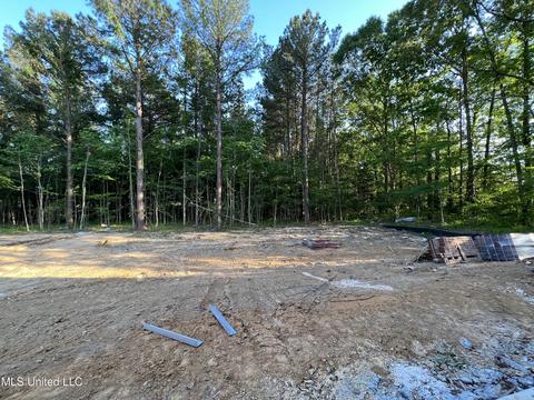 1187 Sanctuary Dr, Brandon, MS 39042 photo 30