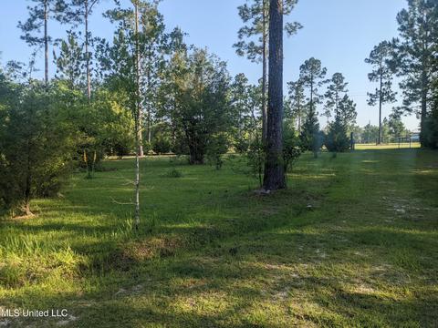 760 W Mchenry Rd, Mchenry, MS 39561 photo 8