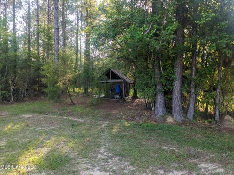 760 W Mchenry Rd, Mchenry, MS 39561 photo 11