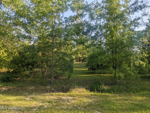 760 W Mchenry Rd, Mchenry, MS 39561 photo 10