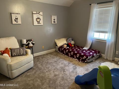 111 Arbor Cv, Clinton, MS 39056 photo 20