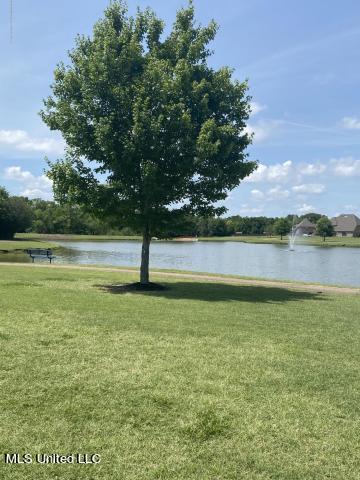 6922 N Sunrise Loop, Olive Branch, MS 38654 photo 34