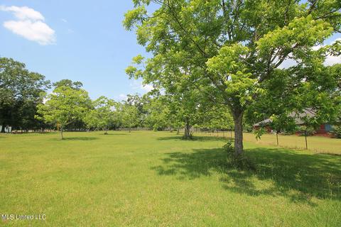 8501 Tanner Williams Rd, Lucedale, MS 39452 photo 40