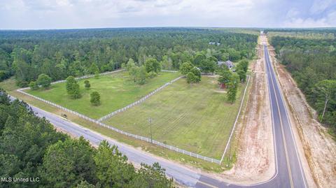 2395 E Mchenry Rd, Perkinston, MS 39573 photo 25