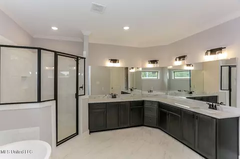 Bath - 8032 Old Addison Dr, Olive Branch, MS 38654 photo 2 of 4
