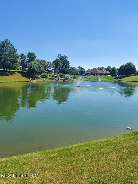 8067 Old Addison Dr, Olive Branch, MS 38654 photo 17