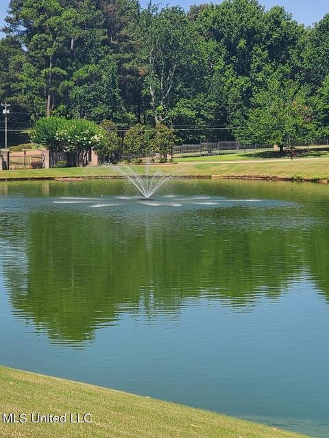 8067 Old Addison Dr, Olive Branch, MS 38654 photo 12