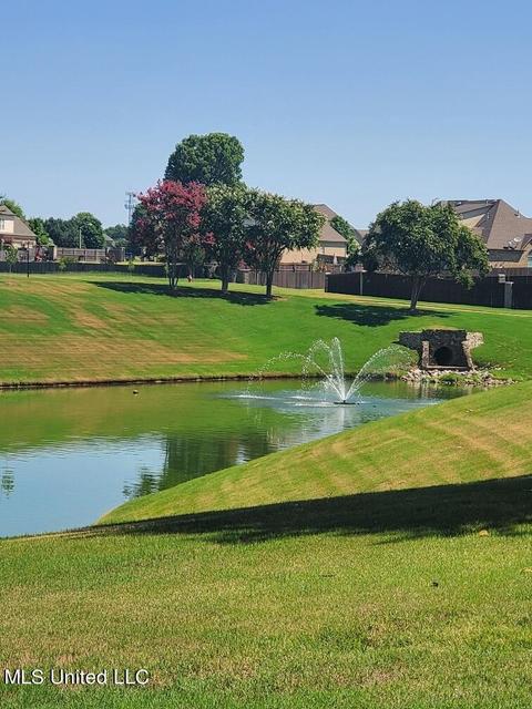 8067 Old Addison Dr, Olive Branch, MS 38654 photo 7