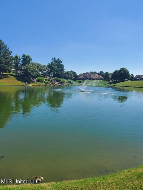8067 Old Addison Dr, Olive Branch, MS 38654 photo 14