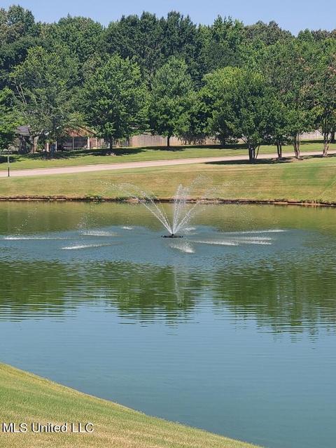 8067 Old Addison Dr, Olive Branch, MS 38654 photo 8