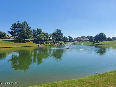 8067 Old Addison Dr, Olive Branch, MS 38654 photo 18