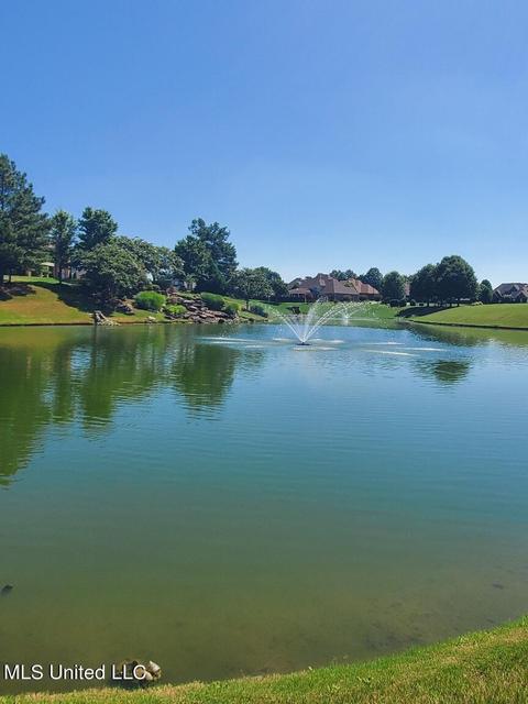 8067 Old Addison Dr, Olive Branch, MS 38654 photo 13