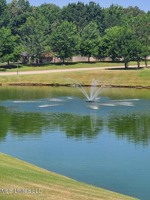 8067 Old Addison Dr, Olive Branch, MS 38654 photo 9