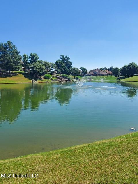 8067 Old Addison Dr, Olive Branch, MS 38654 photo 16