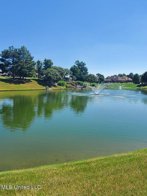 8067 Old Addison Dr, Olive Branch, MS 38654 photo 15