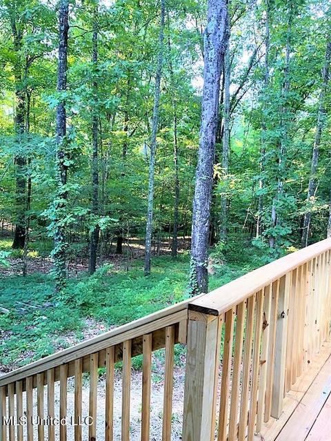 735 Ridge Rd, Sarah, MS 38665 photo 9