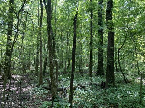 Hwy 49 E, Tchula, MS 39169 photo 5