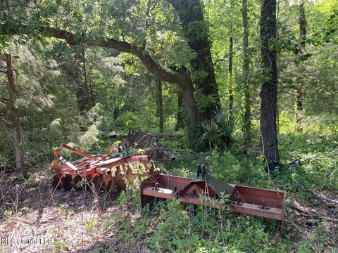 Hwy 49 E, Tchula, MS 39169 photo 31