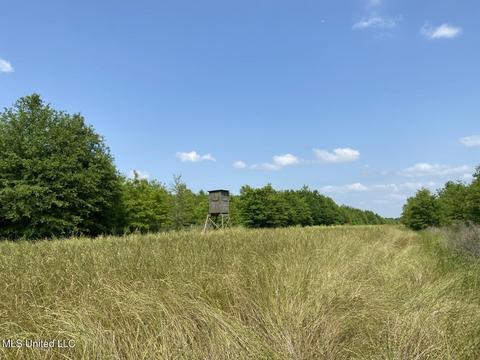 Hwy 49 E, Tchula, MS 39169 photo 48