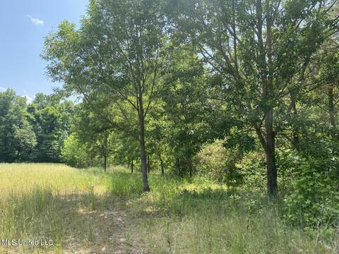 Hwy 49 E, Tchula, MS 39169 photo 36