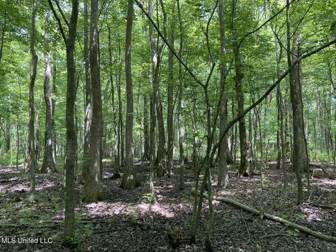 Hwy 49 E, Tchula, MS 39169 photo 8