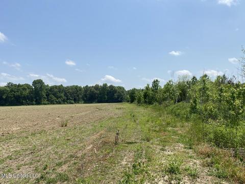 Hwy 49 E, Tchula, MS 39169 photo 33