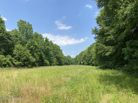 Hwy 49 E, Tchula, MS 39169 photo 35