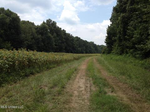 Hwy 49 E, Tchula, MS 39169 photo 34