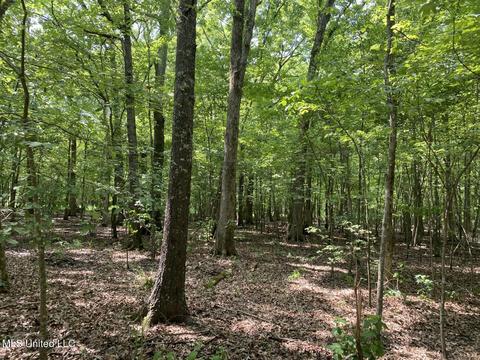 Hwy 49 E, Tchula, MS 39169 photo 41