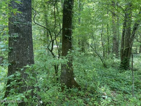 Hwy 49 E, Tchula, MS 39169 photo 42