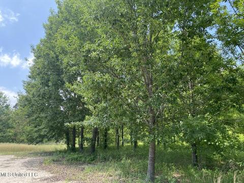 Hwy 49 E, Tchula, MS 39169 photo 4