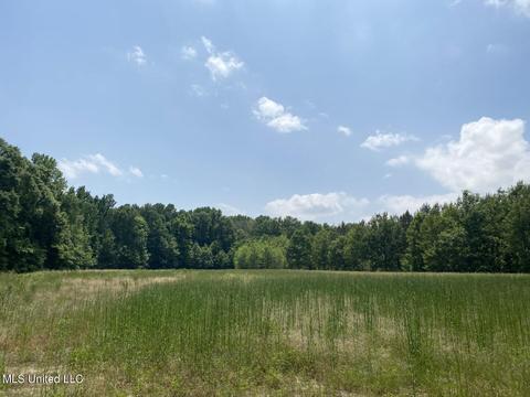 Hwy 49 E, Tchula, MS 39169 photo 3
