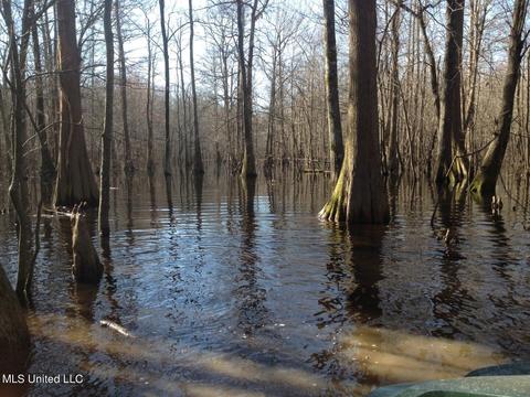 Hwy 49 E, Tchula, MS 39169 photo 49