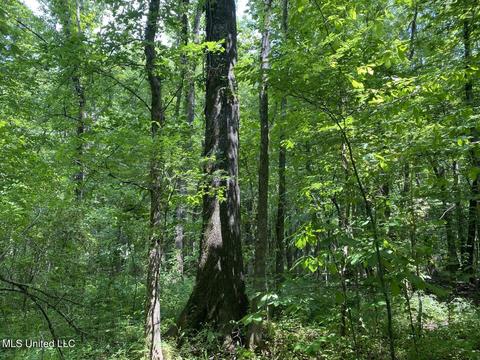 Hwy 49 E, Tchula, MS 39169 photo 43