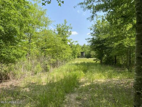 Hwy 49 E, Tchula, MS 39169 photo 47