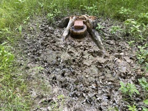 Hwy 49 E, Tchula, MS 39169 photo 50