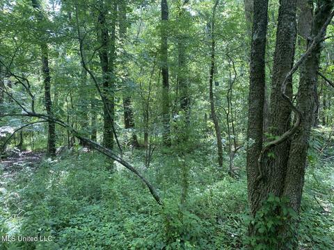 Hwy 49 E, Tchula, MS 39169 photo 7
