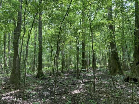 Hwy 49 E, Tchula, MS 39169 photo 37