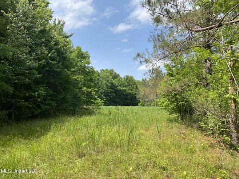 Hwy 49 E, Tchula, MS 39169 photo 39