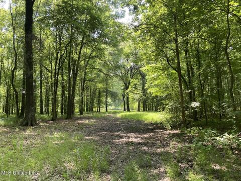 Hwy 49 E, Tchula, MS 39169 photo 2