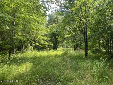 Hwy 49 E, Tchula, MS 39169 photo 9