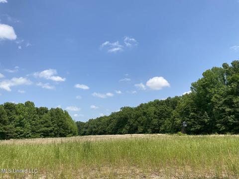 Hwy 49 E, Tchula, MS 39169 photo 46