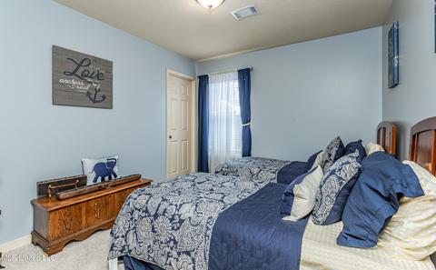 164 Blackstone Cir, Brandon, MS 39047 photo 17
